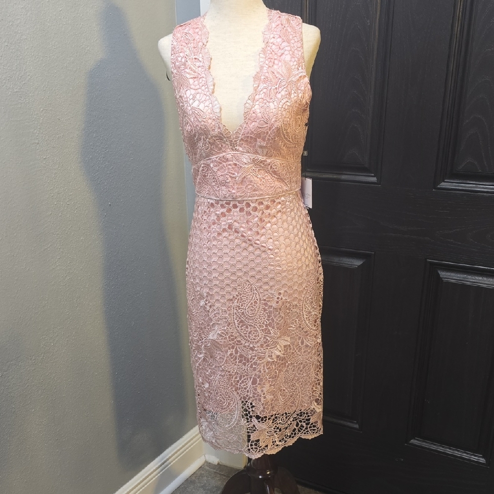 Laundry by Shelli Segal Blush Lace Overlay Dress